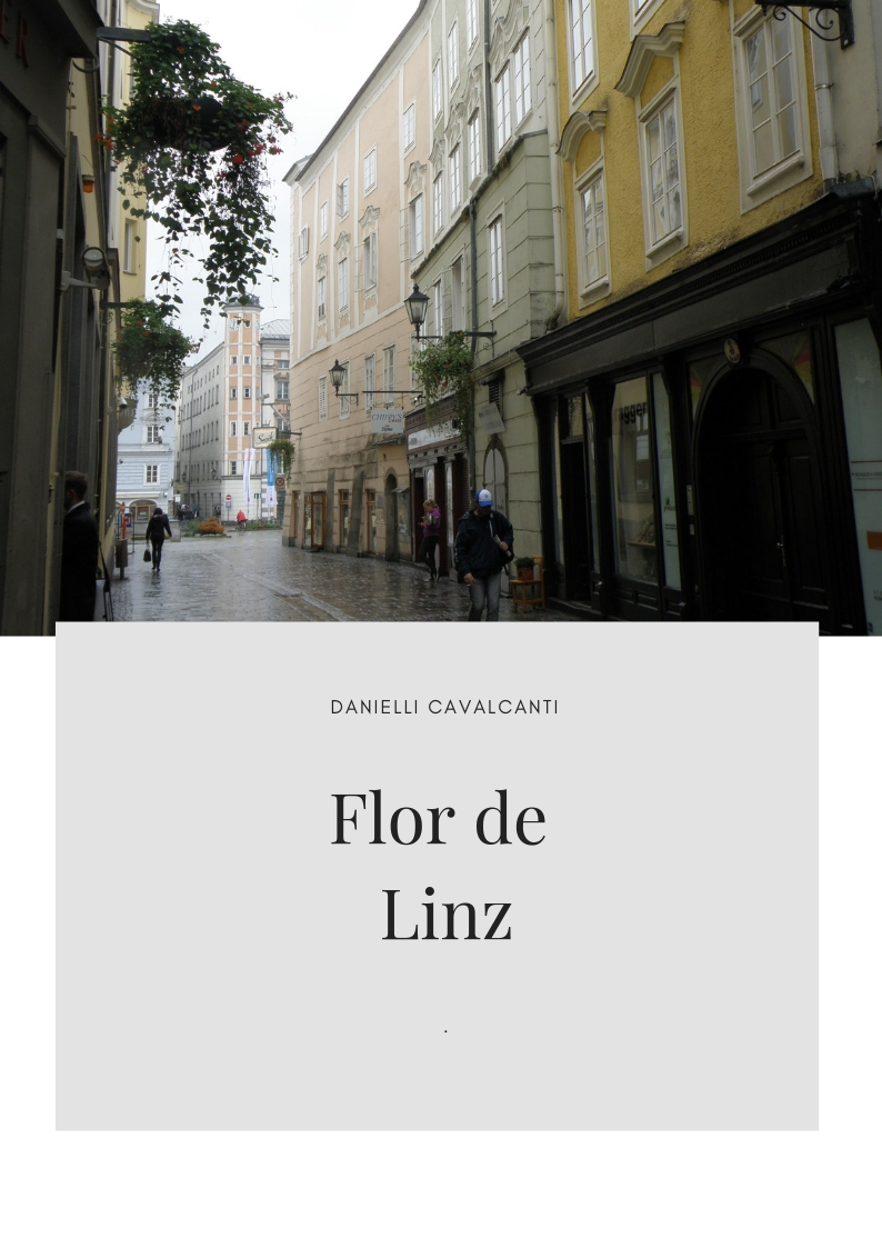 Livro Flor de Linz – 3ª edição